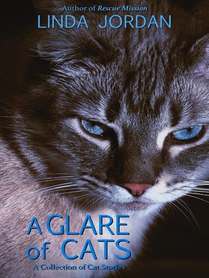 cover image of A Glare of Cats